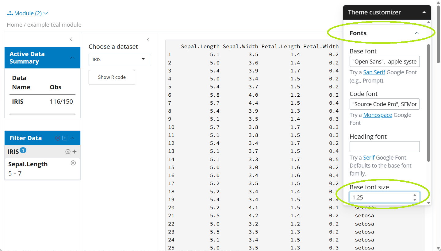 The menu from the first screenshot with the Font and the Base font size highlighted in green circles