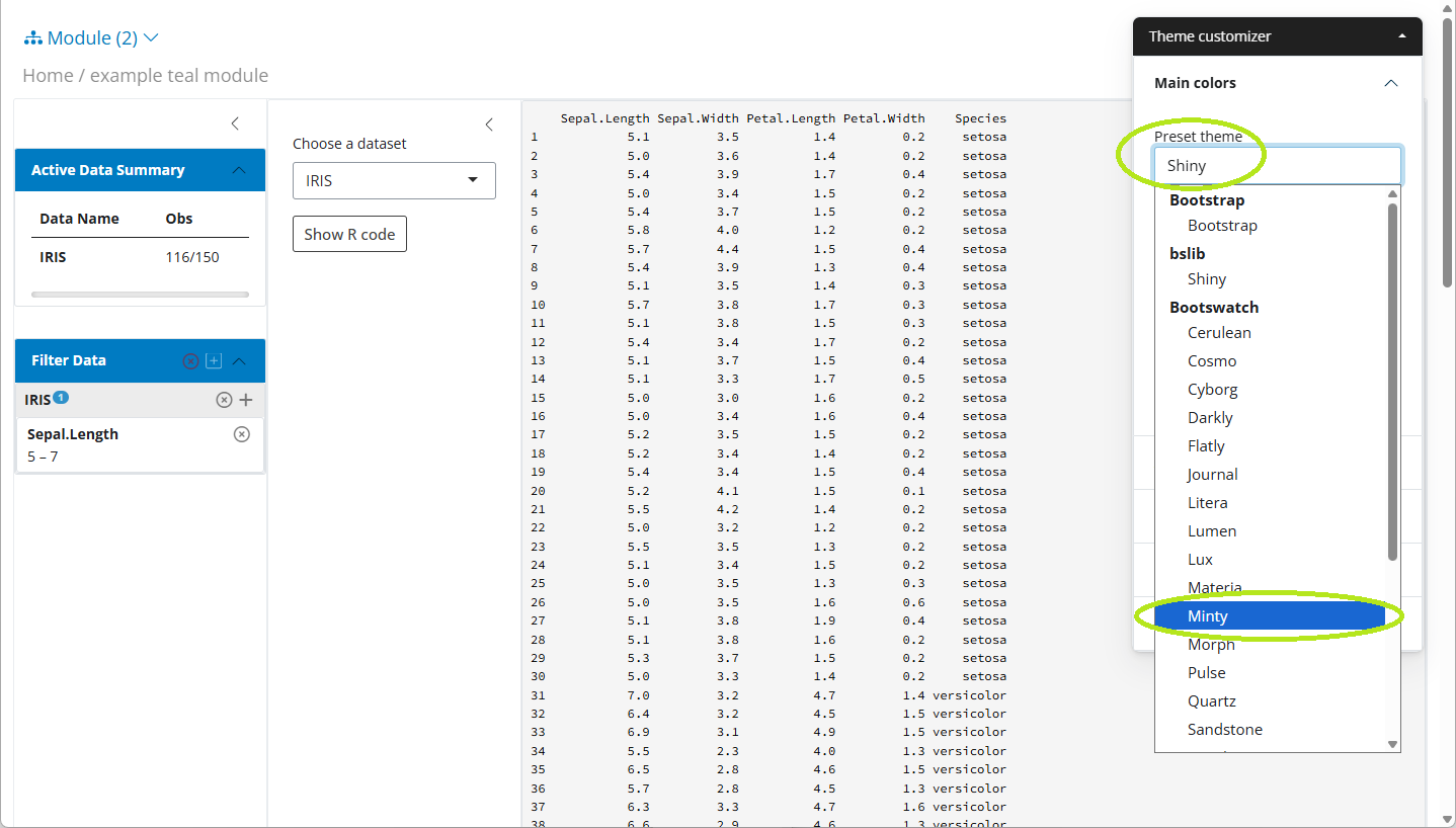 The same menu as on the previous screenshot with the Present theme selected for Minty